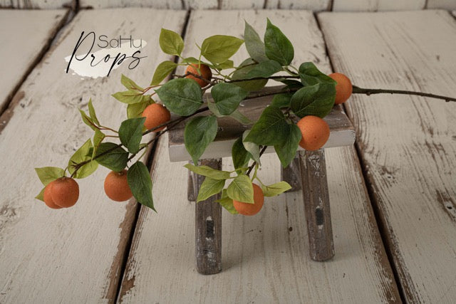 Orangenzweig