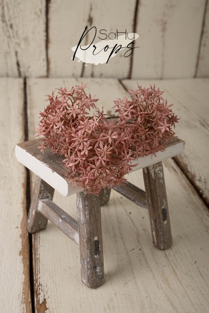 Allium-Zweig