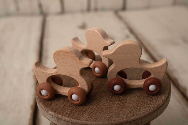 WOODEN DUCK