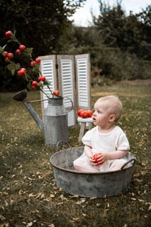 Tomato branch