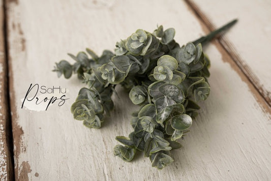 Eukalyptus grün klein